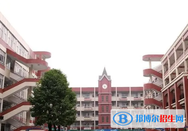 广东碧桂园(IB国际)学校小学部怎么样