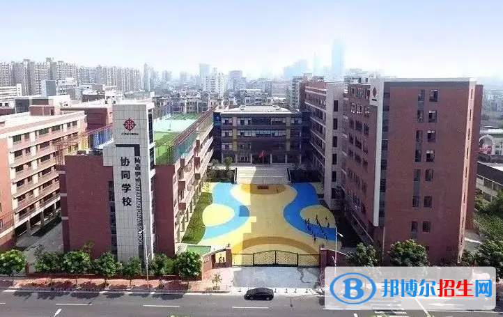 佛山协同国际学校小学部2023年招生政策2