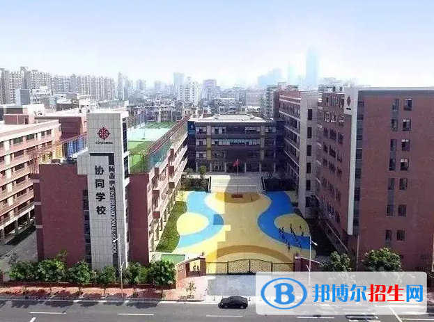 佛山协同国际学校小学部怎么样2