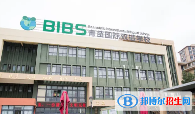 成都青苗国际双语学校初中部2023年招生政策