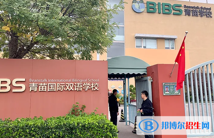 成都青苗国际双语学校初中部2023年招生政策2