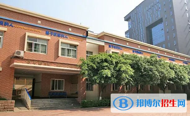 成都美视国际学校初中部2023年入学条件