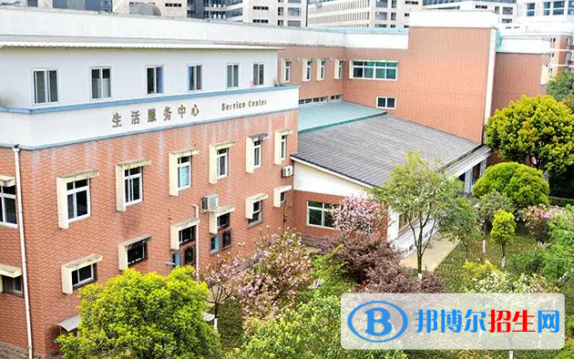 成都美视国际学校初中部2023年入学条件2