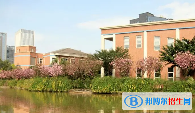 成都美视国际学校初中部2023年入学考试