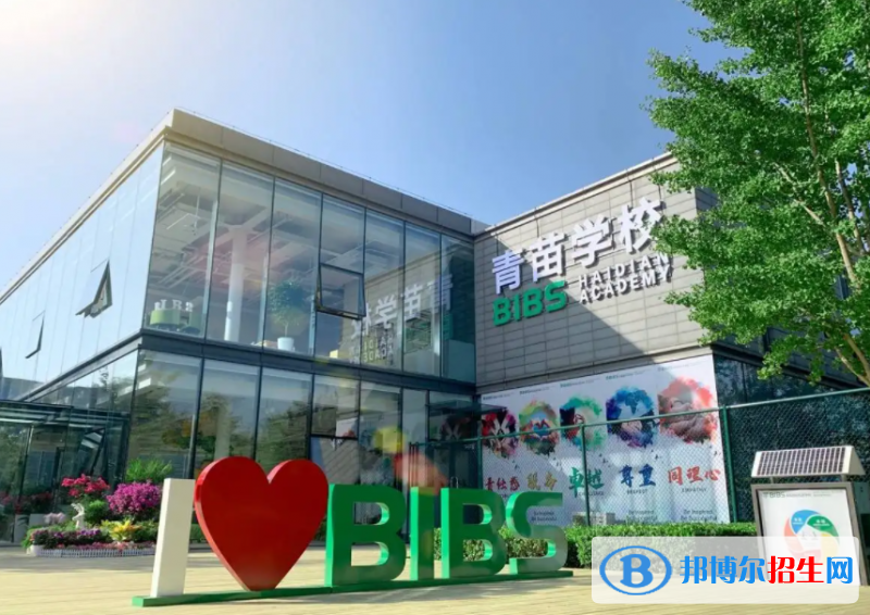 成都青苗国际双语学校小学部2023年入学条件