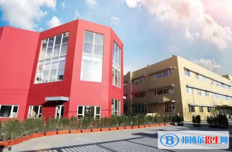 成都青苗国际双语学校小学部2023年入学条件2
