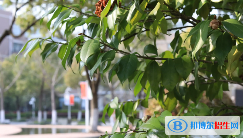 上海市实验学校2023年网站网址