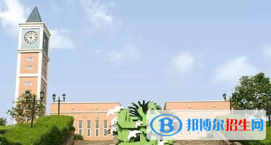 成都美视国际学校小学部2023年课程体系2