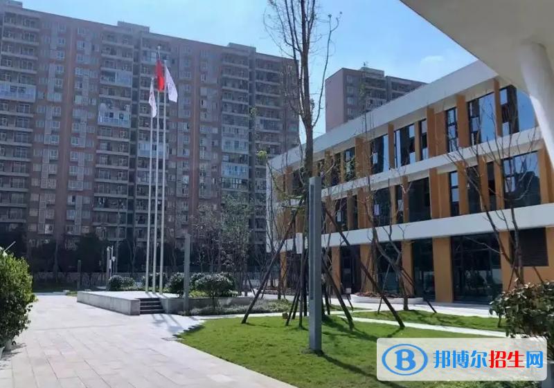 成都蒙彼利埃小学2023年学费标准