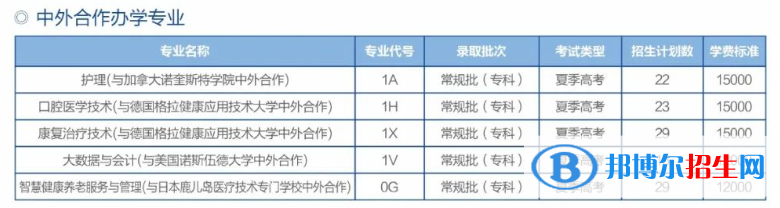 滨州职业学院有哪些中外合作办学专业？（附名单）