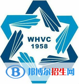 威海职业学院艺术类专业有哪些？（艺术类专业）