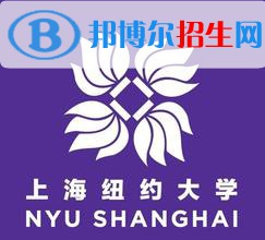 上海纽约大学学校代码是16404(学校代码)