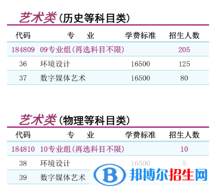 南京理工大学泰州科技学院艺术类专业有哪些？