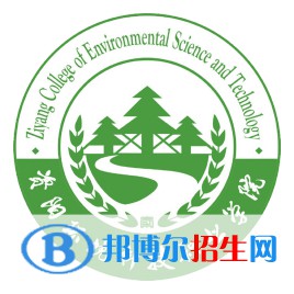 资阳环境科技职业学院艺术类专业有哪些？（艺术类专业）