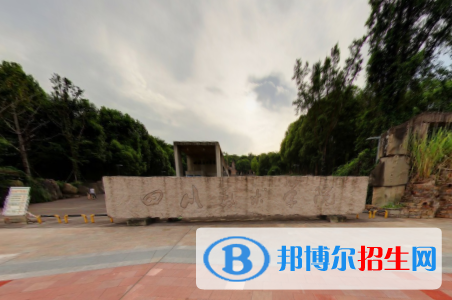 四川美术学院学校代码是10655(学校代码)