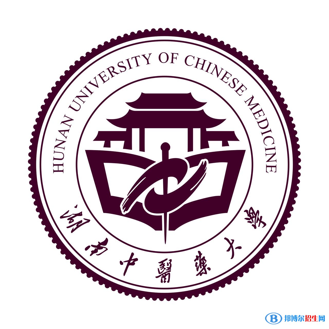 湖南中医药大学学校代码是10541(学校代码)