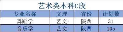 延安大学艺术类专业有哪些？