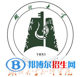 湖北大学知行学院艺术类专业有哪些？（艺术类专业）