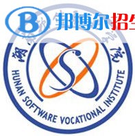 湖南软件职业技术大学学校代码是13925(学校代码)