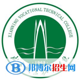 咸宁职业技术学院艺术类专业有哪些？