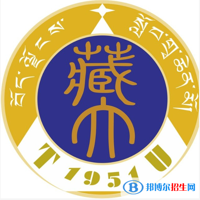 2022年西藏大学艺术类专业有哪些？