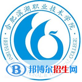 民办合肥滨湖职业技术学院有哪些专业？