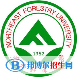 东北林业大学有哪些专业？