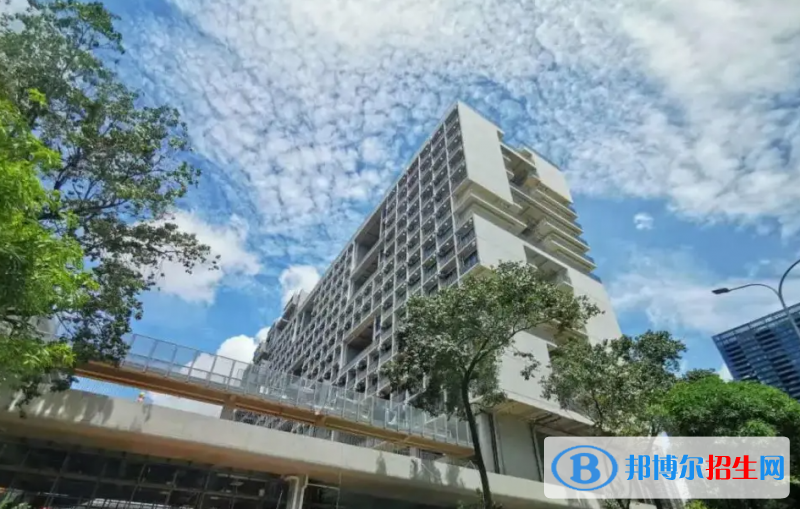 深圳深美国际学校初中部2023年录取分数线2