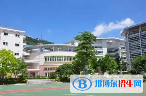 瑞得福国际学校2023年课程体系2