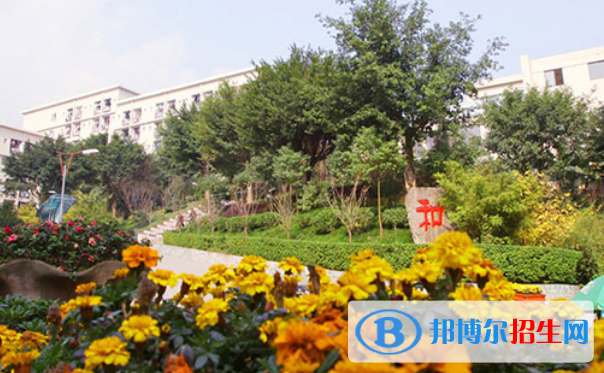 重庆市2023年中专学校是什么意思