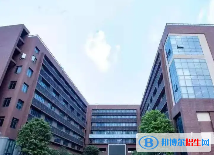 深圳蛇口国际学校小学部靠谱吗