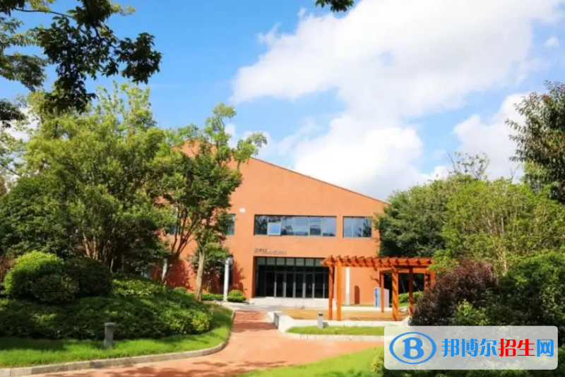 深圳深美国际学校2023年课程体系