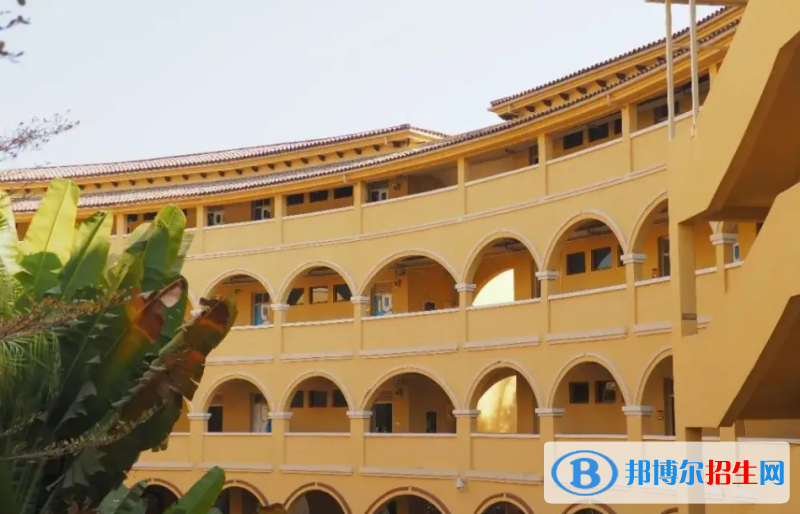 深圳曦城协同国际学校2023年入学条件