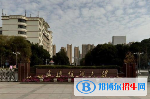 历年武汉纺织大学2022全国排名榜(软科+校友会）-2023参考