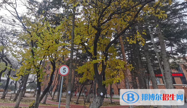 吉林实验中学2023年招生办联系电话 