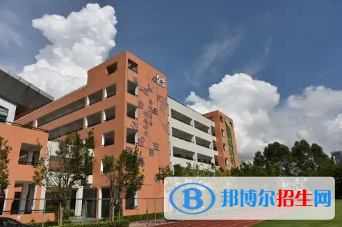 深圳石岩公学学校国际部小学2023年入学条件