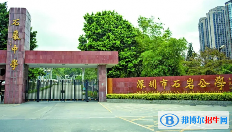 深圳石岩公学学校国际部小学2023年入学考试2