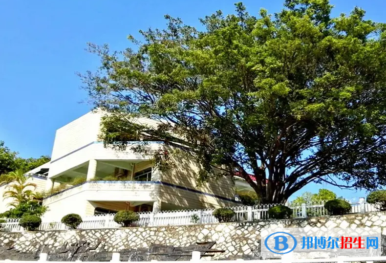 深圳石岩公学学校国际部小学靠谱吗