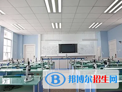 深圳康桥书院初中部怎么样2