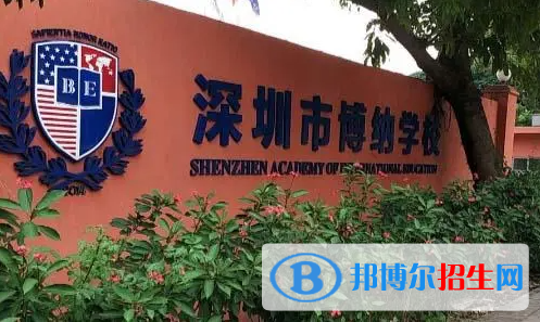 深圳博纳学校初中部2023年招生政策2