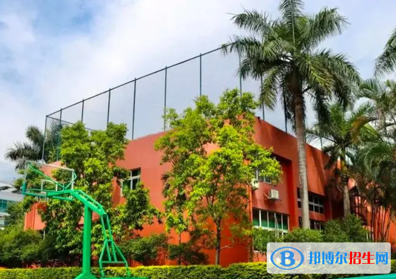 深圳博纳学校初中部2023年课程体系