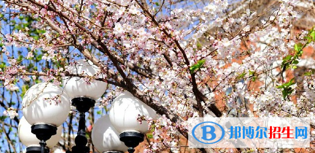 石家庄外国语学校2023年招生代码