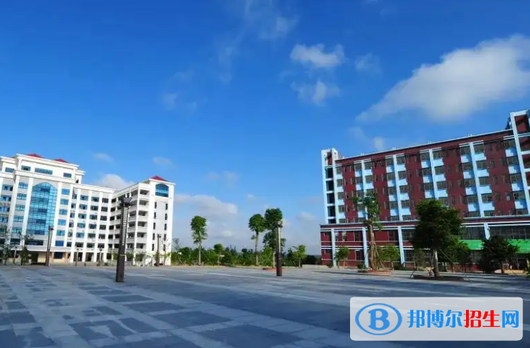 深圳奥斯翰外语学校初中部2023年课程体系2