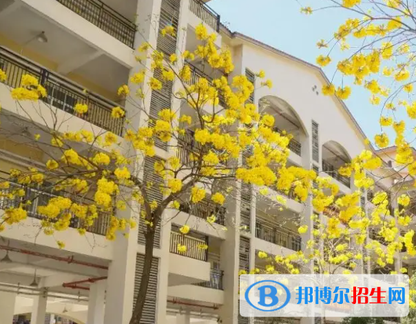 深圳奥斯翰外语学校初中部怎么样2