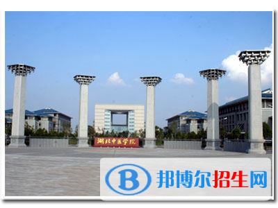 2022 湖北中医药大学全国排名（湖北中医药大学历年全国排名）-2023年参考