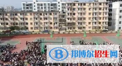 广西2023年职高计算机学什么专业好