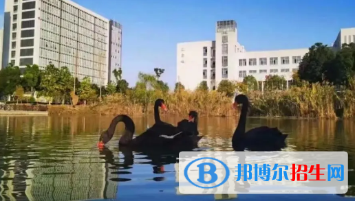  安徽2023年哪些大学有汽修学校