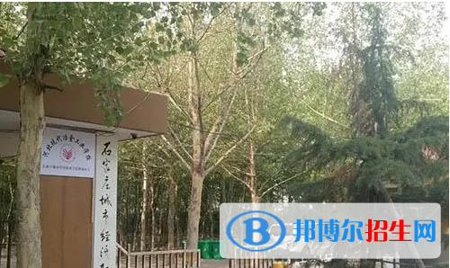 石家庄2023年男生学什么计算机学校好