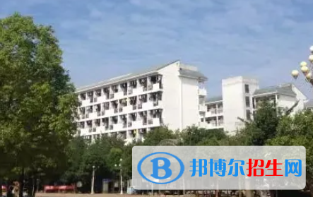 广西2023年上计算机学校选什么专业