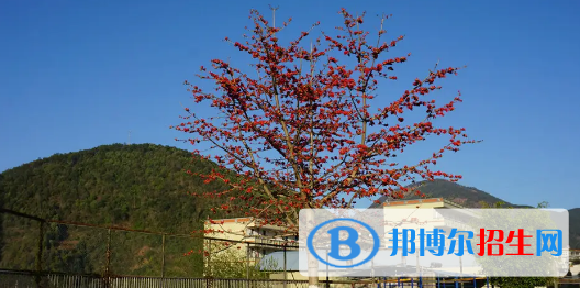 攀枝花高中学校升学排行2022（附高考成绩）-2023参考